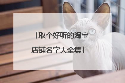 取个好听的淘宝店铺名字大全集
