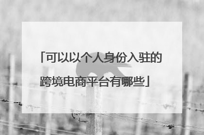 可以以个人身份入驻的跨境电商平台有哪些