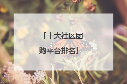 十大社区团购平台排名