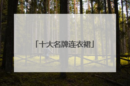 十大名牌连衣裙