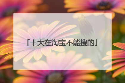 十大在淘宝不能搜的
