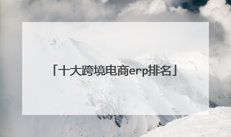 十大跨境电商erp排名
