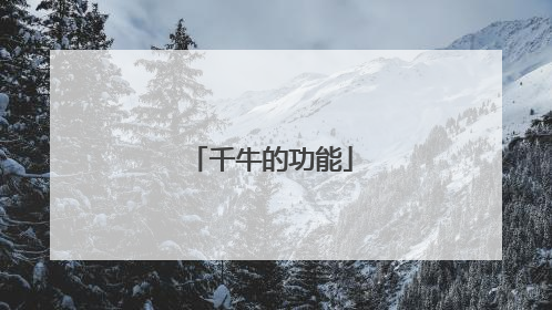 千牛的功能