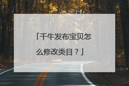 千牛发布宝贝怎么修改类目?