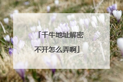 千牛地址解密不开怎么弄啊