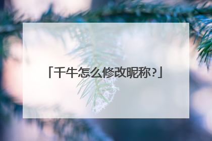 千牛怎么修改昵称?