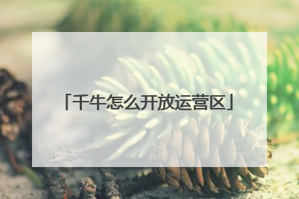 千牛怎么开放运营区