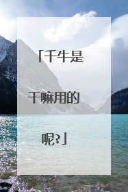 千牛是干嘛用的呢?