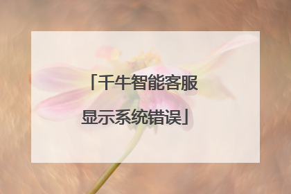 千牛智能客服显示系统错误