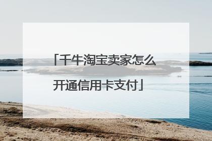 千牛淘宝卖家怎么开通信用卡支付