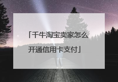 千牛淘宝卖家怎么开通信用卡支付