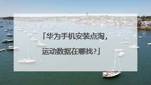 华为手机安装点淘,运动数据在哪找?