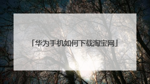 华为手机如何下载淘宝网