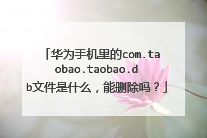华为手机里的com.taobao.taobao.db文件是什么,能删除吗?