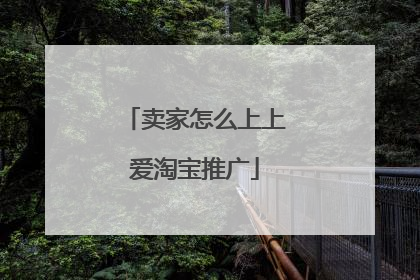 卖家怎么上上爱淘宝推广