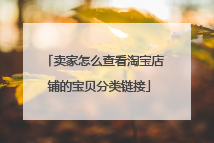 卖家怎么查看淘宝店铺的宝贝分类链接