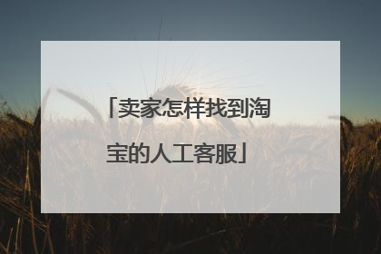 卖家怎样找到淘宝的人工客服