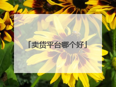 卖货平台哪个好