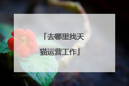 去哪里找天猫运营工作