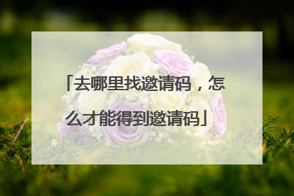 去哪里找邀请码,怎么才能得到邀请码
