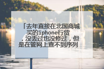 去年直接在北国商城买的iphone行货,没丢过也没修过,但是在管网上查不到序列号 这是什么原因