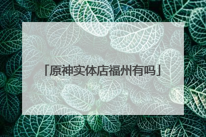 原神实体店福州有吗