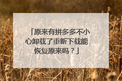 原来有拼多多不小心卸载了重新下载能恢复原来吗?