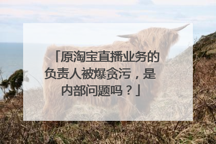 原淘宝直播业务的负责人被爆贪污,是内部问题吗?