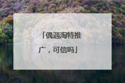 偶遇淘特推广,可信吗
