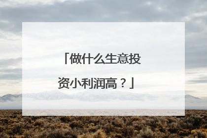 做什么生意投资小利润高?