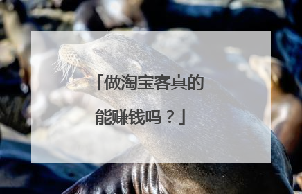 做淘宝客真的能赚钱吗?