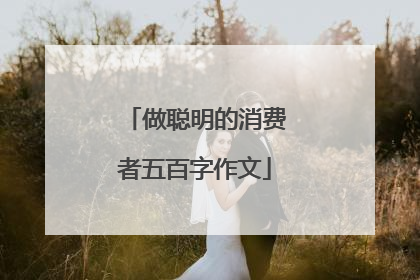 做聪明的消费者五百字作文