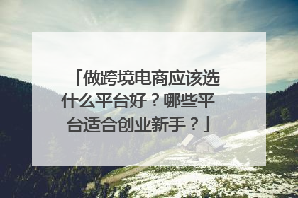 做跨境电商应该选什么平台好?哪些平台适合创业新手?