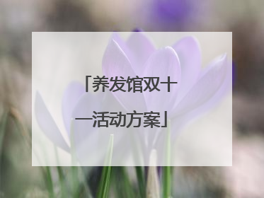 养发馆双十一活动方案