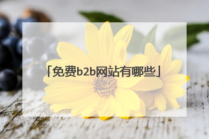 免费b2b网站有哪些