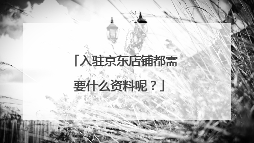 入驻京东店铺都需要什么资料呢?