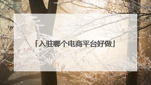 入驻哪个电商平台好做