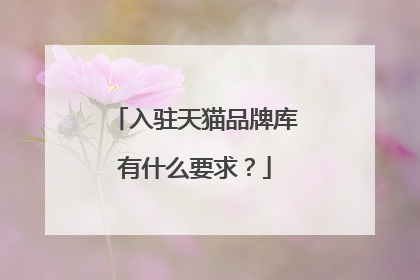 入驻天猫品牌库有什么要求?