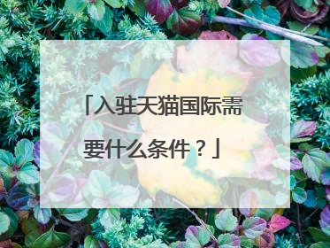 入驻天猫国际需要什么条件？