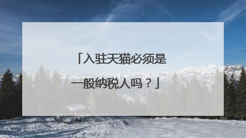 入驻天猫必须是一般纳税人吗?
