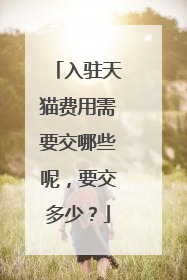 入驻天猫费用需要交哪些呢,要交多少?