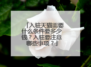 入驻天猫需要什么条件要多少钱?入驻要注意哪些事项?