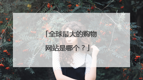 全球最大的购物网站是哪个?