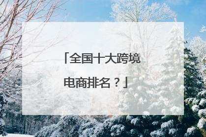 全国十大跨境电商排名?
