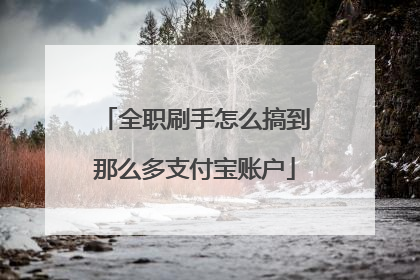 全职刷手怎么搞到那么多支付宝账户