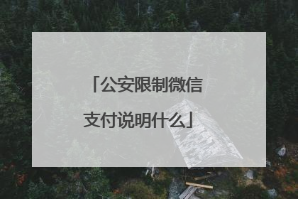 公安限制微信支付说明什么