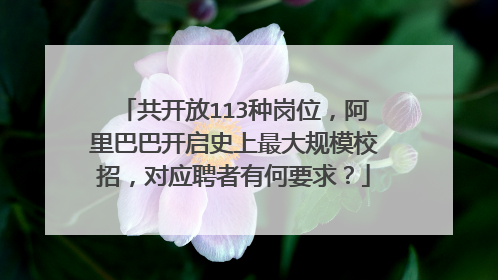 共开放113种岗位,阿里巴巴开启史上最大规模校招,对应聘者有何要求?