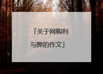 关于网购利与弊的作文