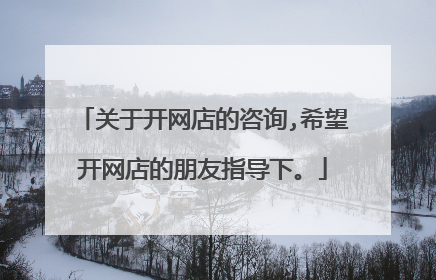 关于开网店的咨询,希望开网店的朋友指导下。