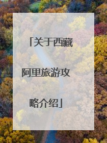 关于西藏阿里旅游攻略介绍